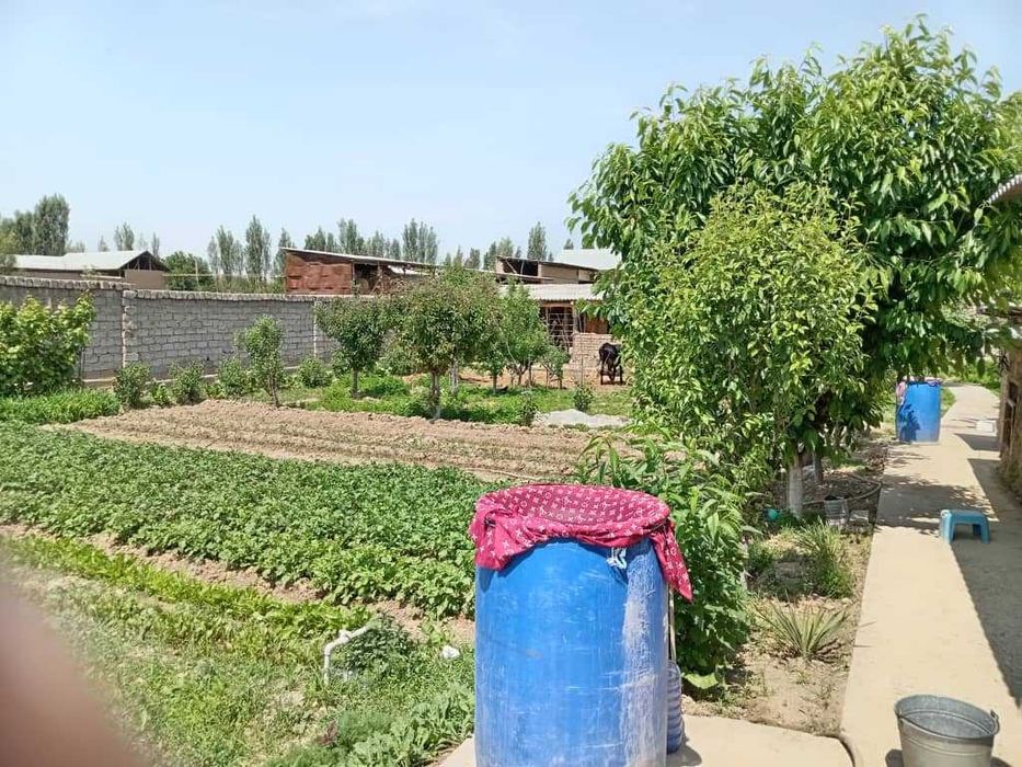 Уй сотила ховли ер