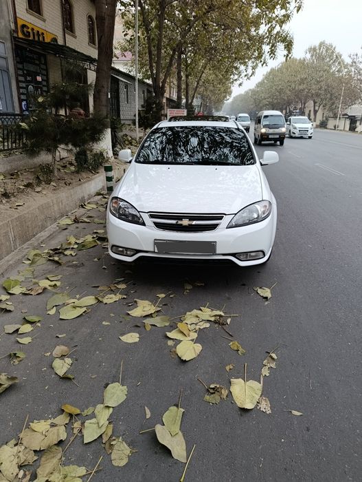 Laseti jentira qilingan 1.6 mator oldi orqa butun