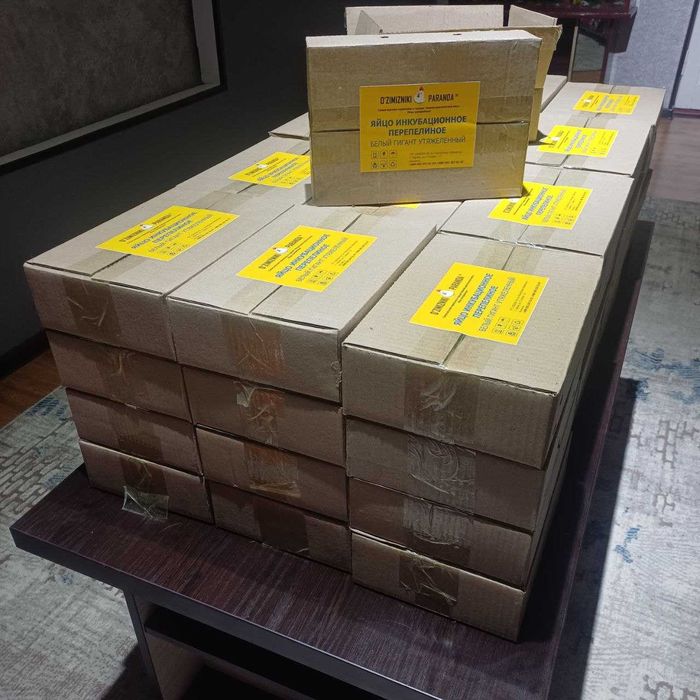 Оптом инкубационные яйца перепелок породы Гигант