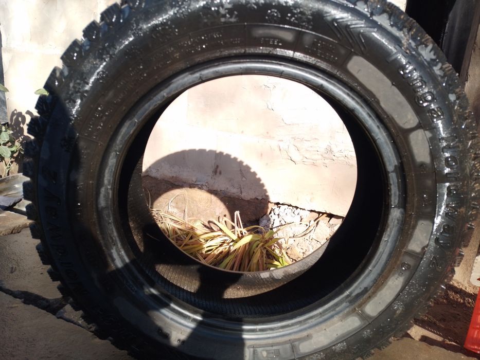 Шипованая резина,Норд вей