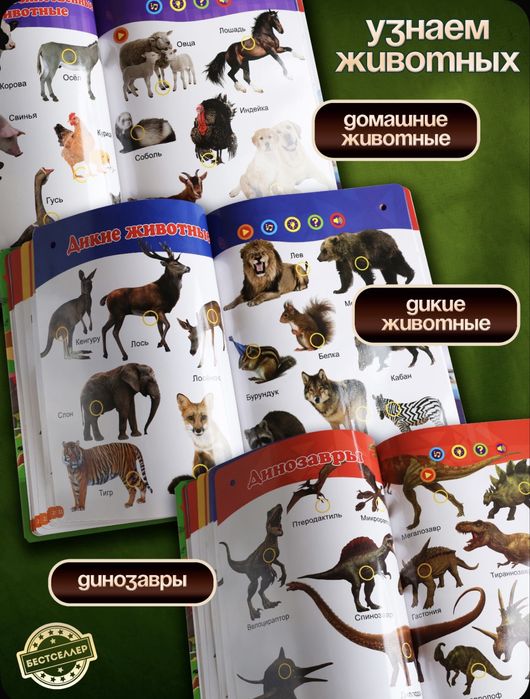 Детская книга развивательная