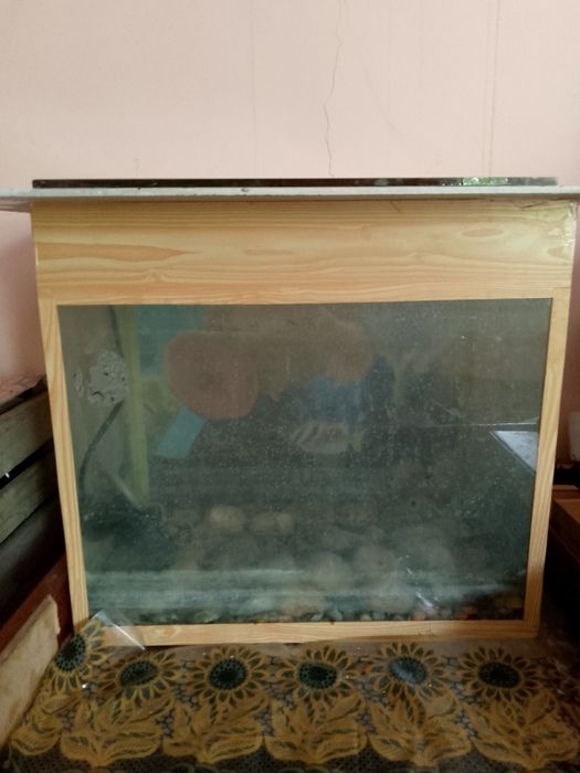 Аквариум для рыбок