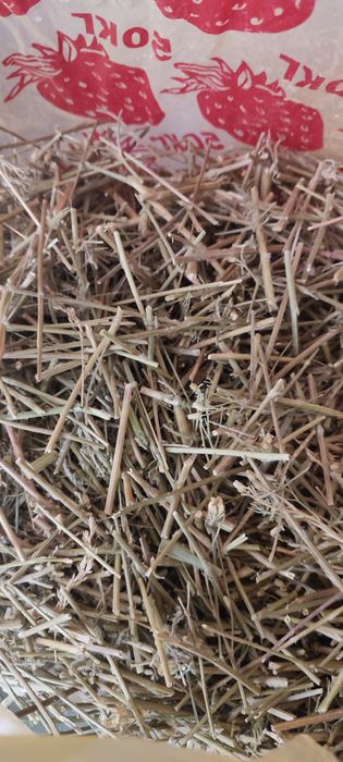 Корм для кроликов трава