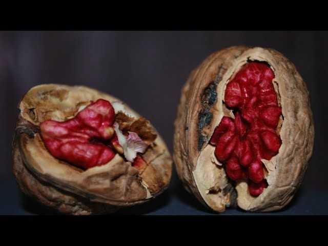 Nuc Rubin (Cu miez Rosu )