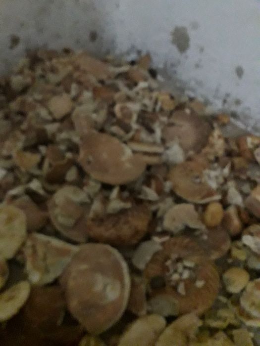 Сухари.для.животных