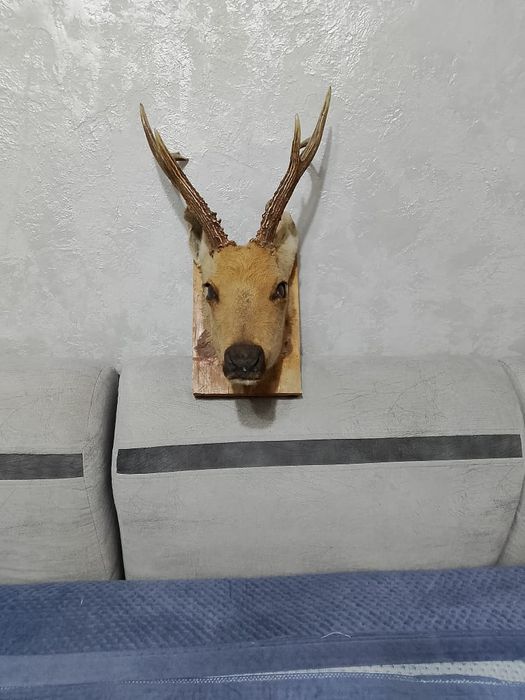 Продам в хорошем состояний