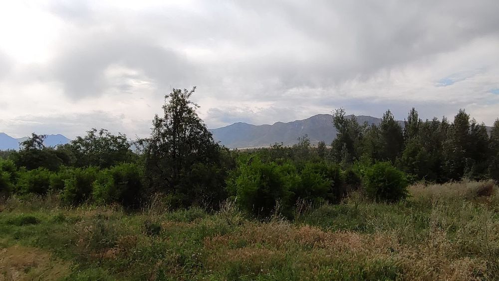 Yer sotiladi 45 sotix