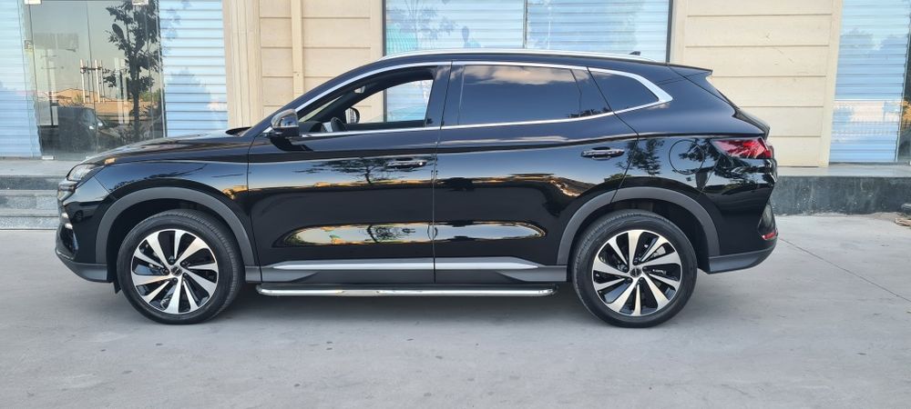 BYD Chempion кора