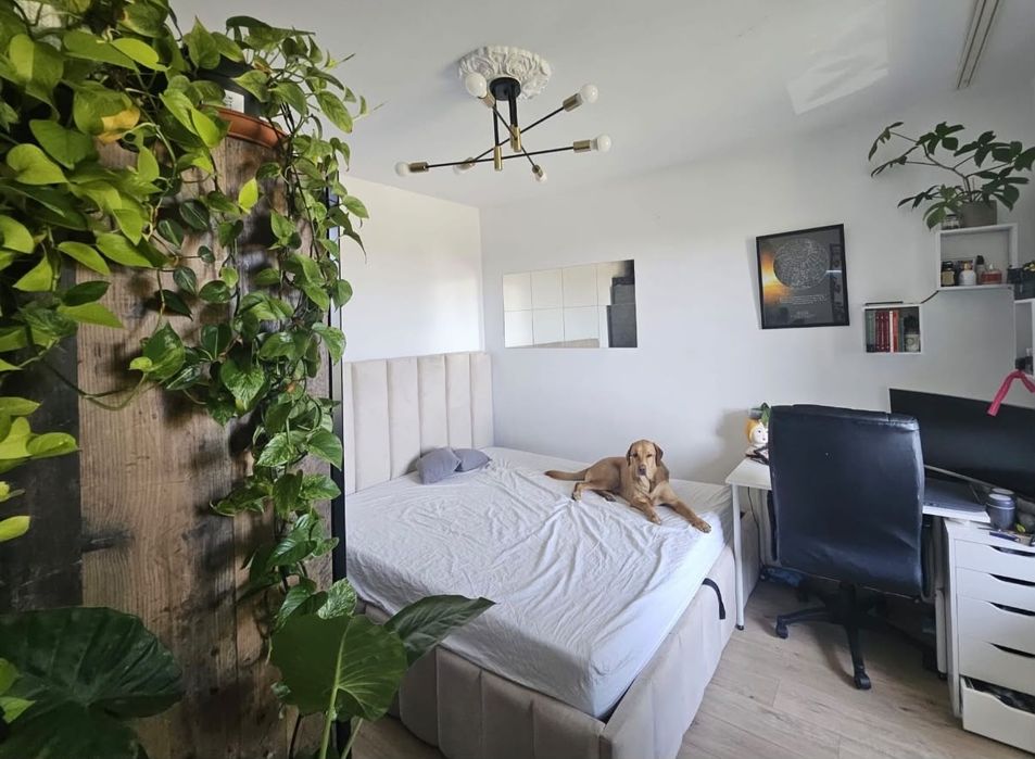 Apartament zona Circumvalatiunii