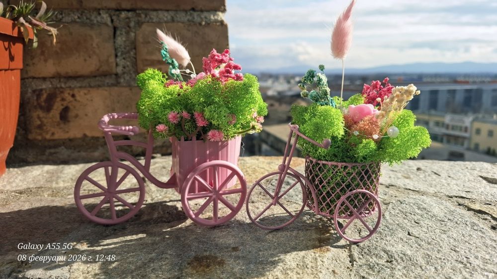 Бюджетни подаръци със скандинавски мъх