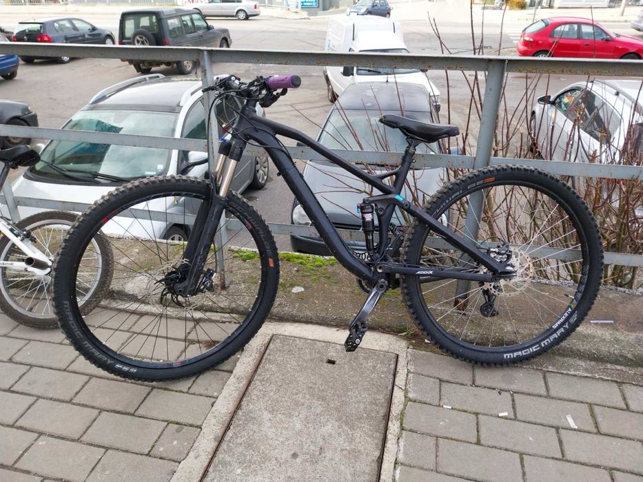 Canyon neuron 2017 AL 29