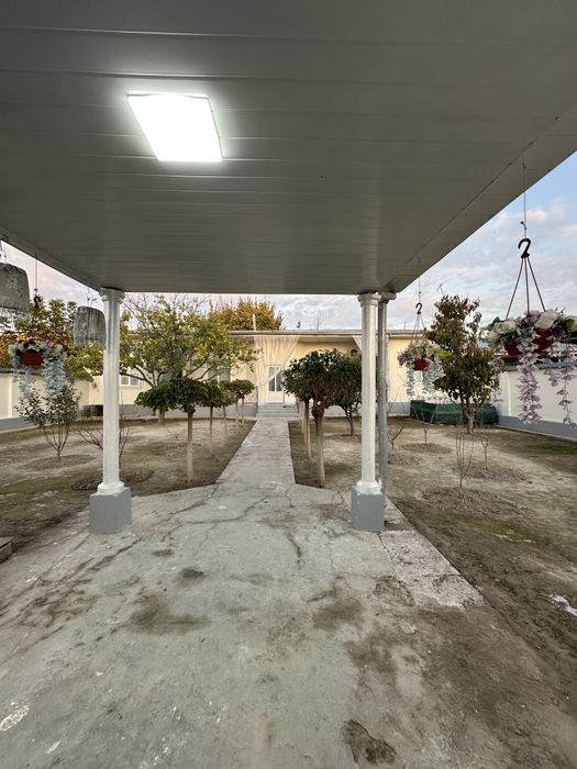 Тутзор ховли сотилад 5су́тик 4хона