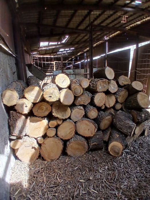 Дрова на шашлыки Алматы