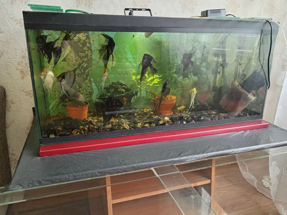 Продам аквариум с тумбой