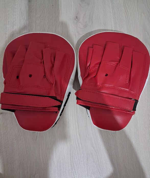 Лапа для бокса Everlast