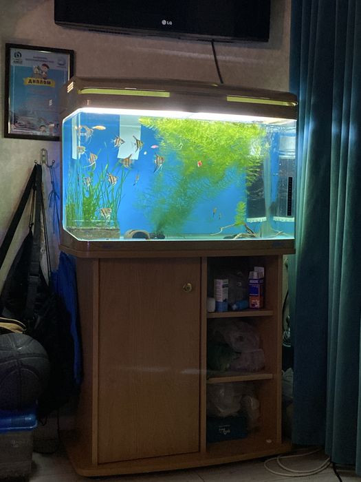 Аквариум из москвы.