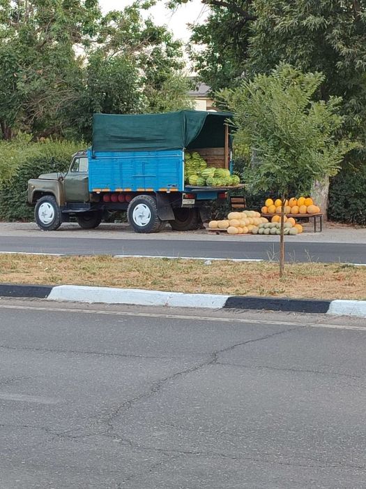 52 yuk mashina tarvuzga