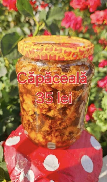 Capaceala de Tei