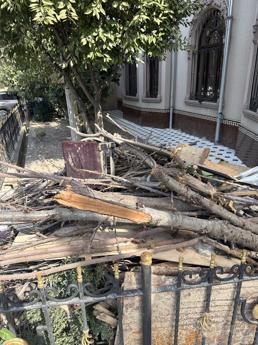 otin tekinga opketsela 2 damas chqadi