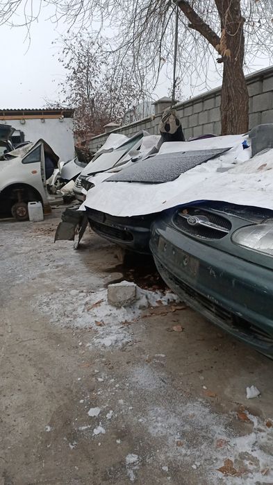 Шаран по запчастям