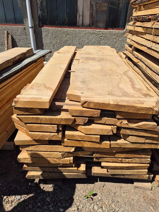 Cherestea stejar netivita verde