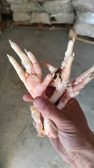 продам куриные лапки
