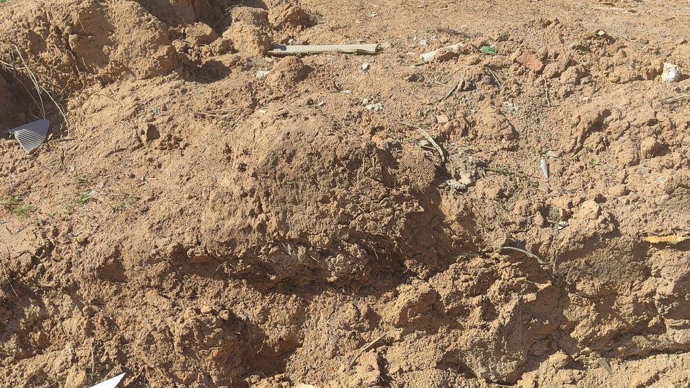 Сары балшық тегін