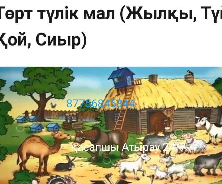 Осы қызметтің барлығы.