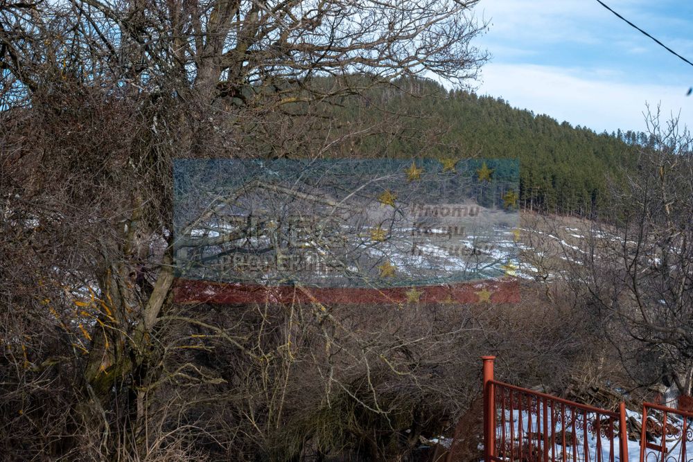 Къща с двор - 4177 м2 в с. Бабица