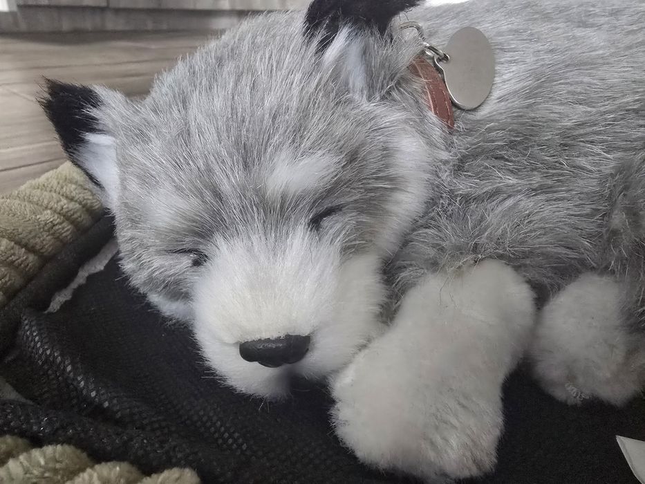 Cățel Husky robotic cu efect realistic original cumpărat din SUA
