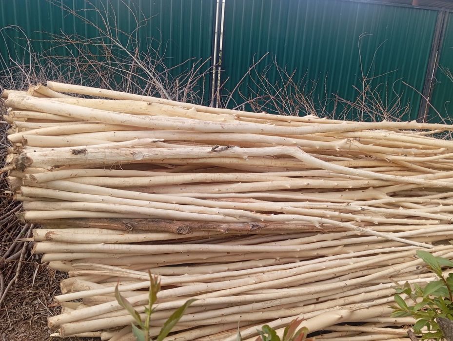 Када хада сатылады