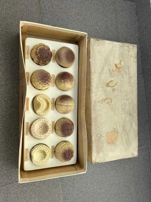 Соц Учебни Модели Макети