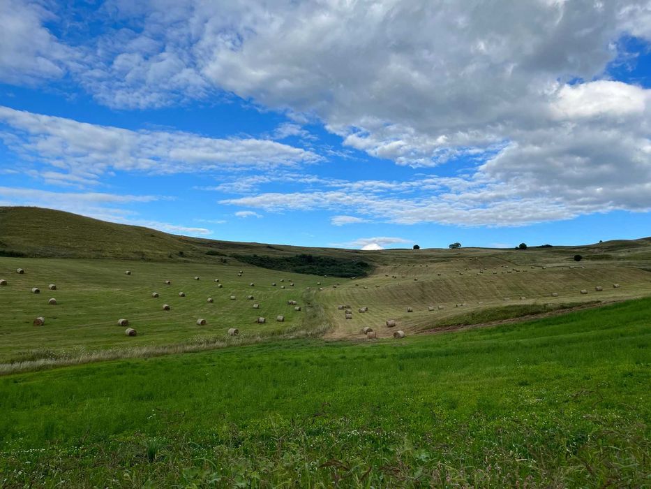 Vand baloti fan CERTIFICAT ECO an 2024