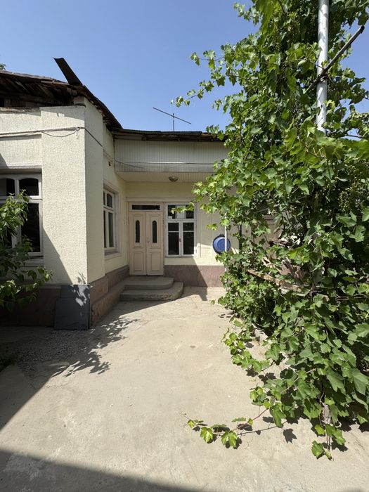 Yakkasaroy tumani salamatina