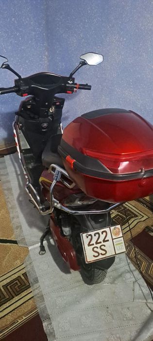 Elektra skuter kattasidan