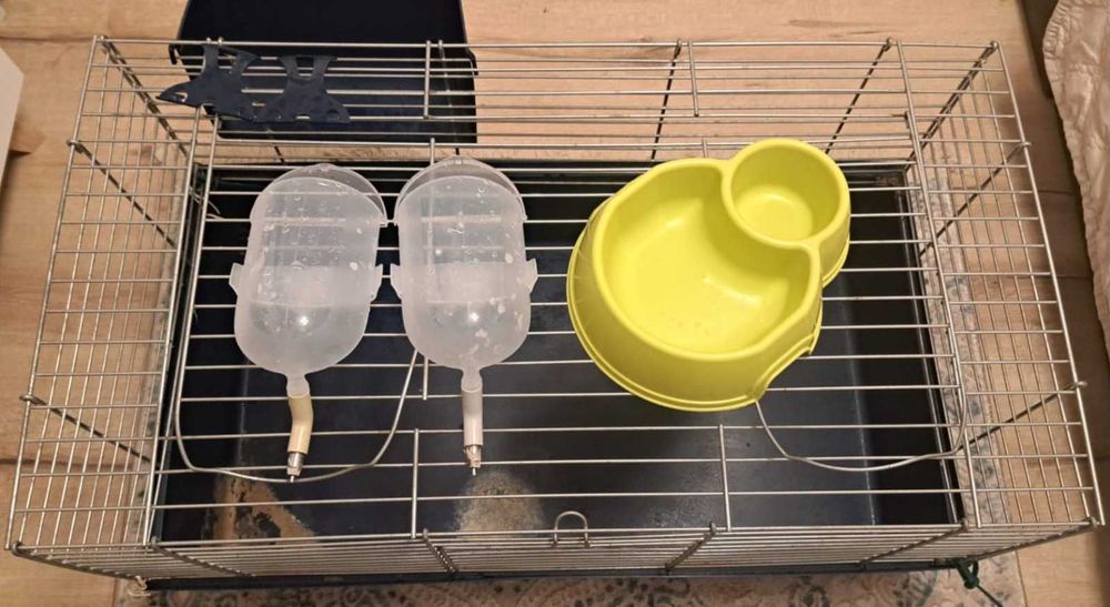 Vand cusca si accesorii.