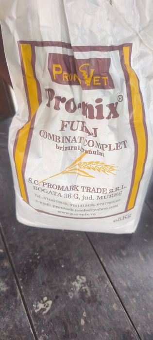 Iepurasi iepuri cap de leu 2 femele cusca si adapatoare apa +mancare inclusa