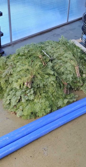 Продам масло.. Пихтовое для бани Сауны