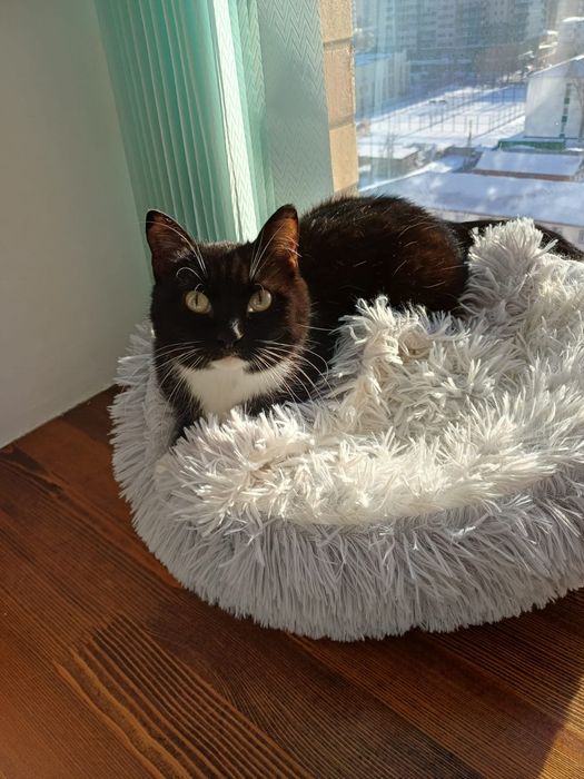 Ласковая и обаятельная мадмуазель с гарантией качества