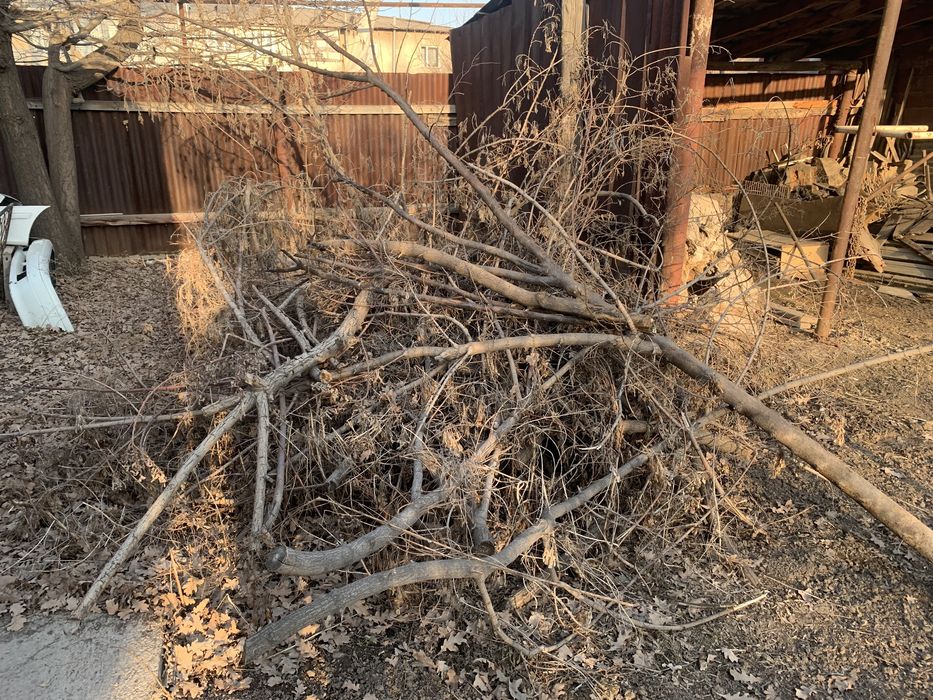 Дрова разные продам