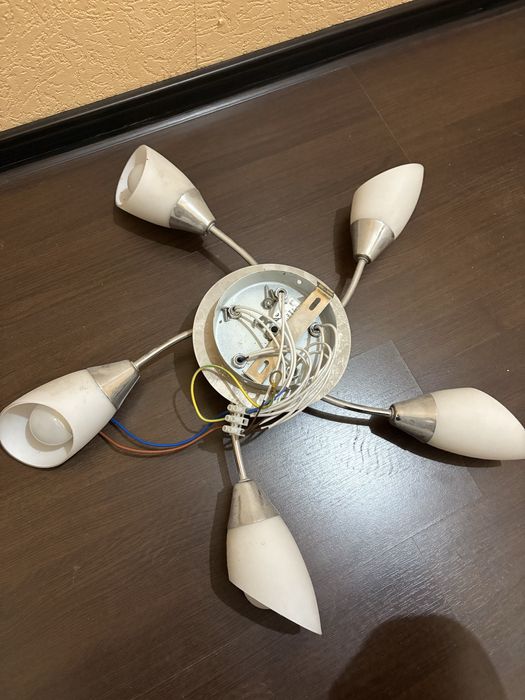 полилей с 5 крушки