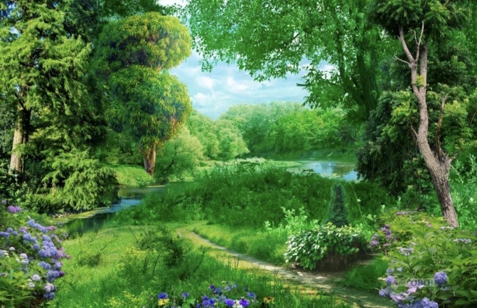 Земельный участок