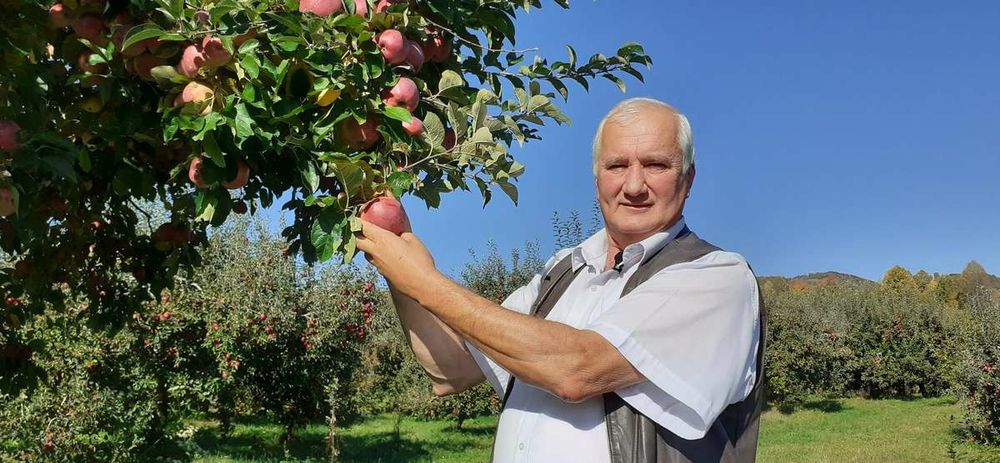 Pomi Stravechi Glia Stramoseasca (Soiuri de Mar )