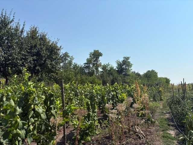 Casă nouă cu teren de 2500 m2 la Siretu, Saucesti
