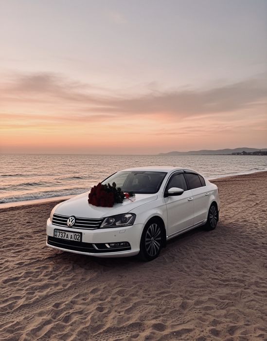 Трезвый водитель