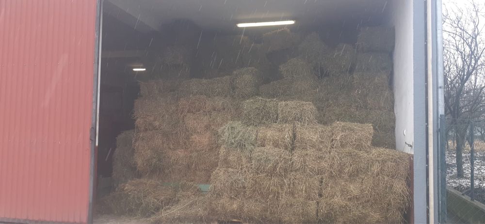 Vând baloți lucernă