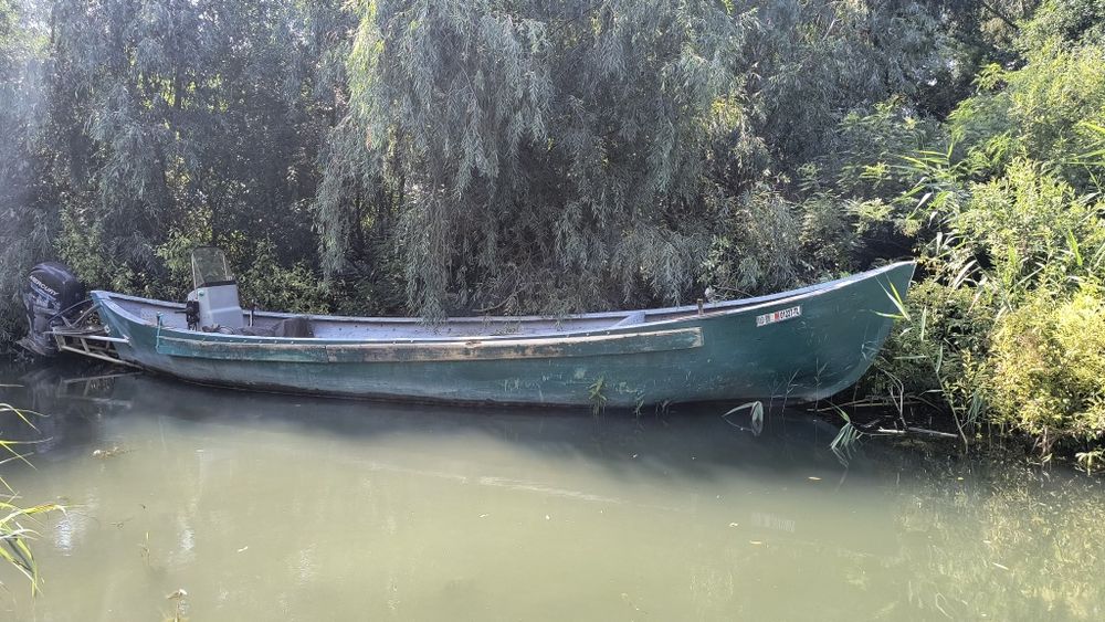 Mahuna de vânzare