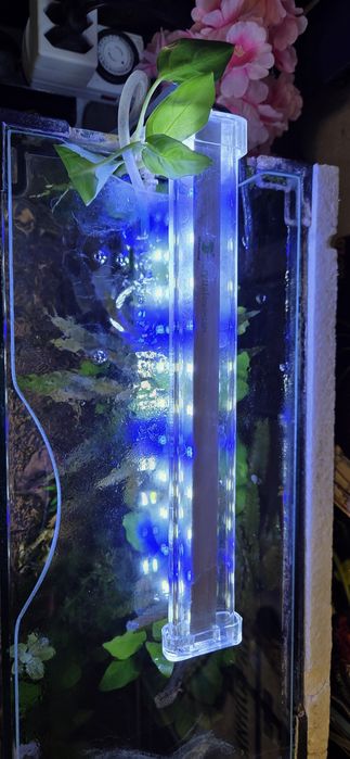 Продавам 25 л.аквариум с всичко живо в него,риби,растения,скариди