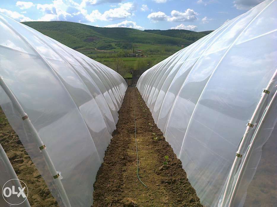 solarii pt legume fructe