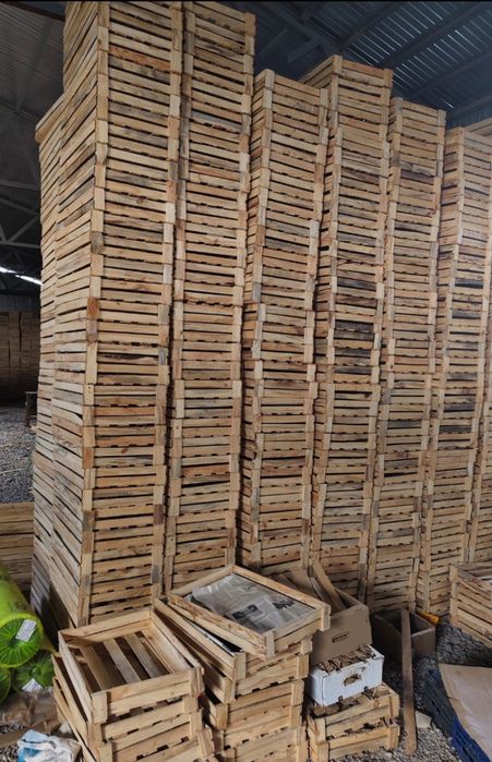 Продам деревянные ящики новые.